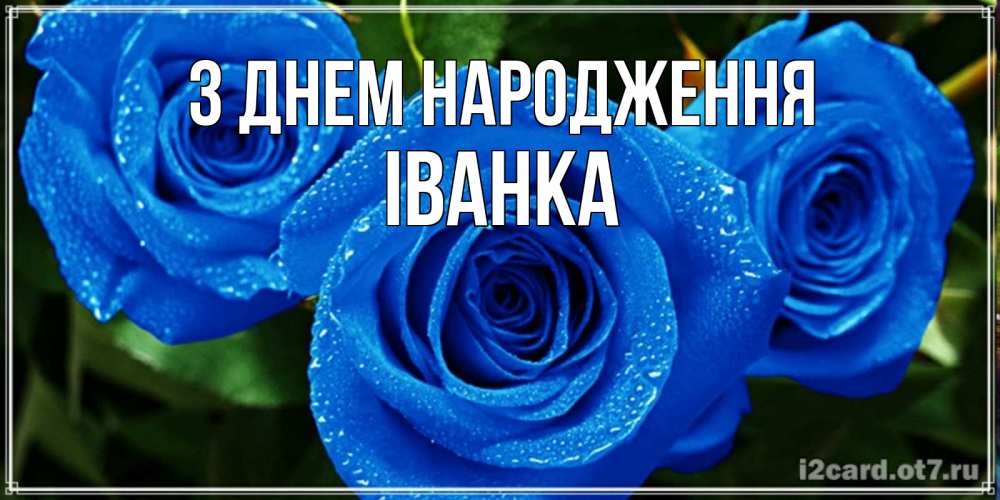 Открытка на каждый день з підписом, Іванка З Днем народження розы с синим цветом Прикольна листівка з побажанням онлайн скачати безкоштовно 