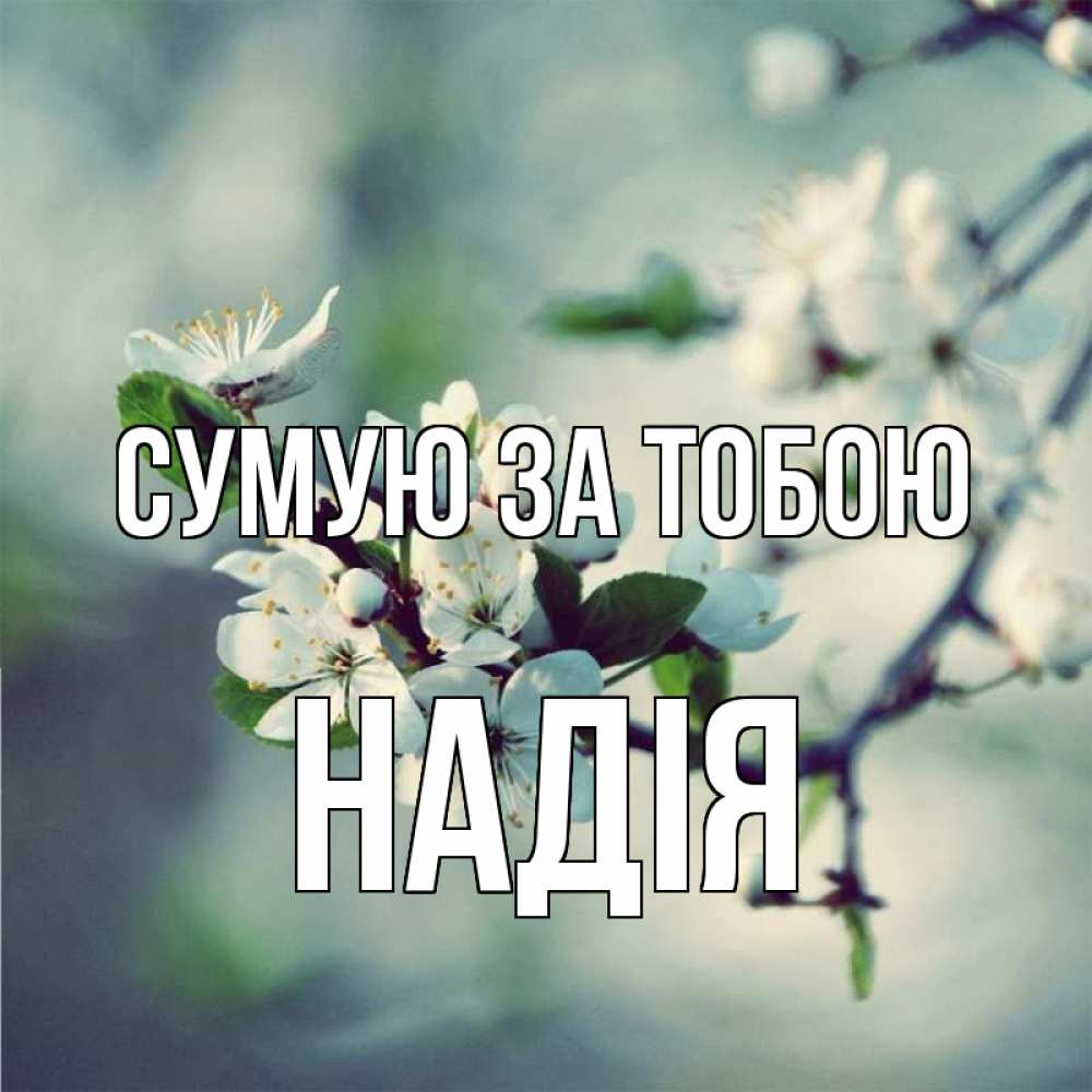 Открытка на каждый день з підписом, Надія Сумую за тобою весна Прикольна листівка з побажанням онлайн скачати безкоштовно 