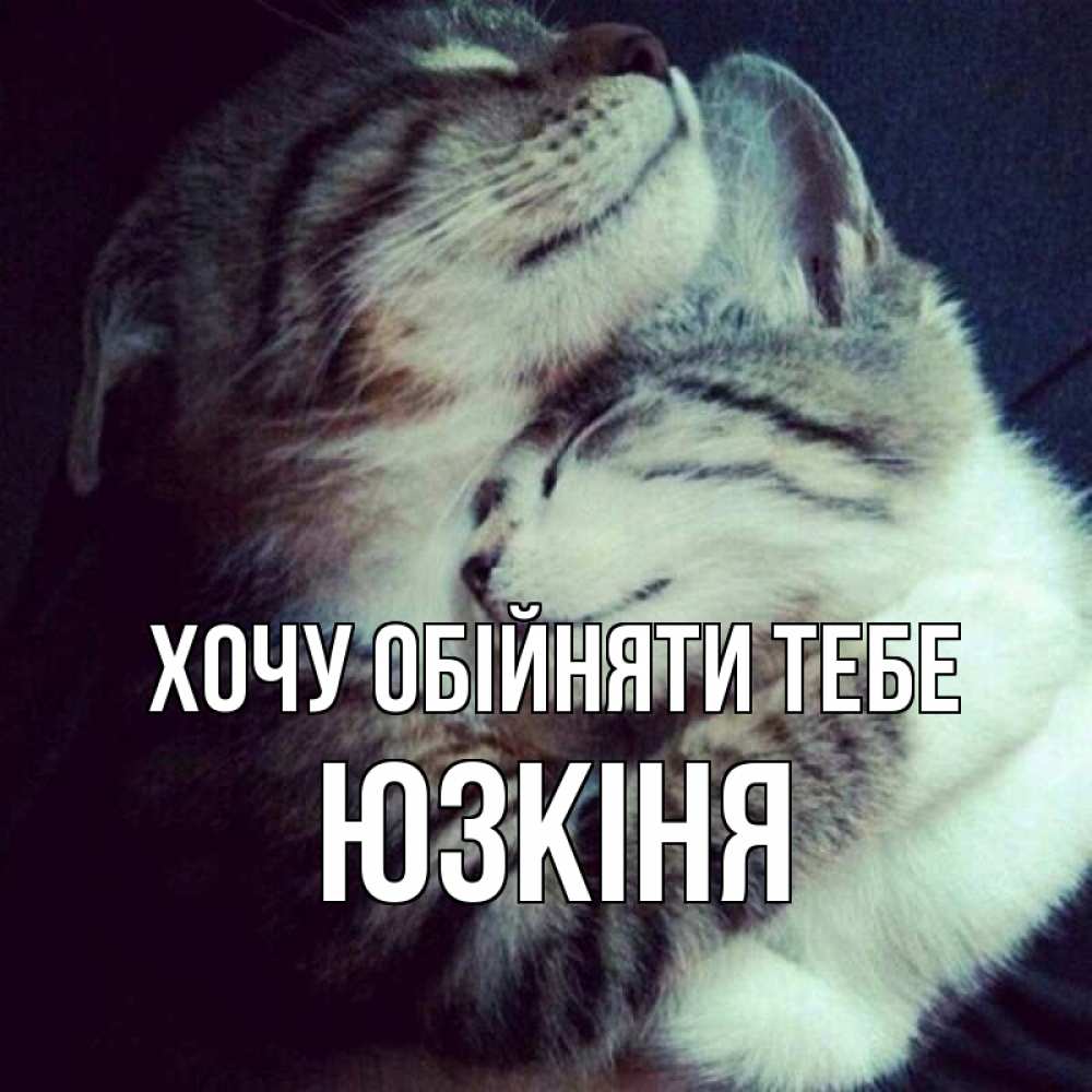 Открытка на каждый день з підписом, Юзкіня Хочу обійняти тебе полосатики Прикольна листівка з побажанням онлайн скачати безкоштовно 