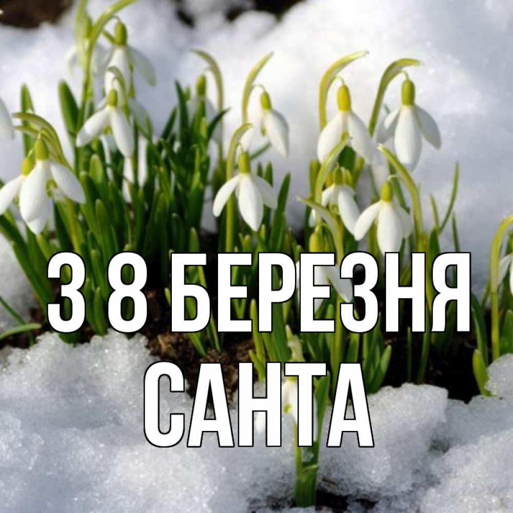 Открытка на каждый день з підписом, Санта З 8 БЕРЕЗНЯ цветы весенние Прикольна листівка з побажанням онлайн скачати безкоштовно 