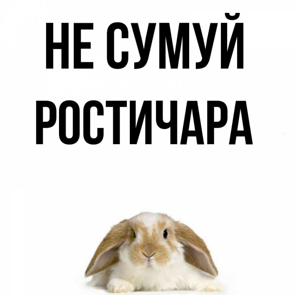 Открытка на каждый день з підписом, Ростичара Не сумуй коричнево белый заяц с большими ушками Прикольна листівка з побажанням онлайн скачати безкоштовно 