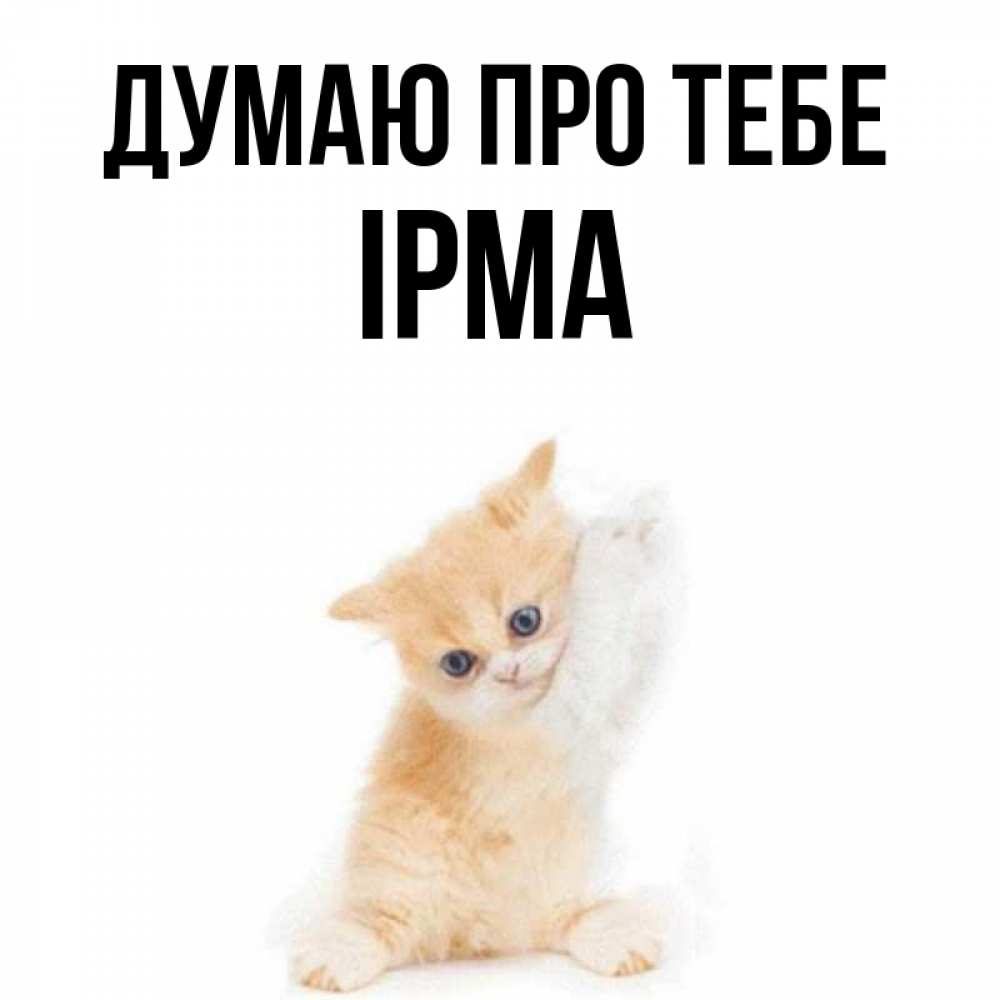 Открытка на каждый день з підписом, Ірма Думаю про тебе зверушки и милота Прикольна листівка з побажанням онлайн скачати безкоштовно 