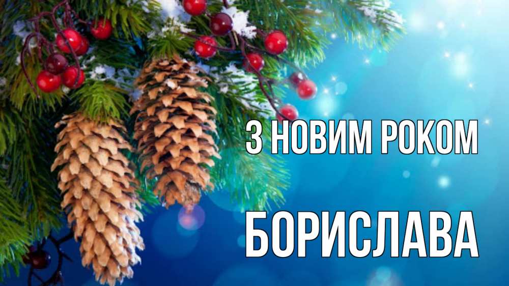 Открытка на каждый день з підписом, Борислава З новим роком Новый год, ель, шишки Прикольна листівка з побажанням онлайн скачати безкоштовно 