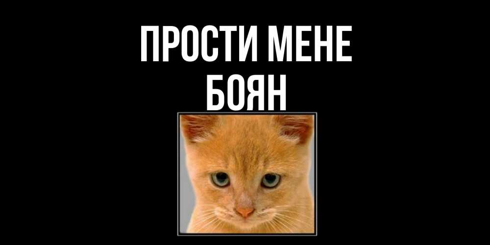 Открытка на каждый день з підписом, Боян Прости мене рыжий грустный кот просит прощения Прикольна листівка з побажанням онлайн скачати безкоштовно 