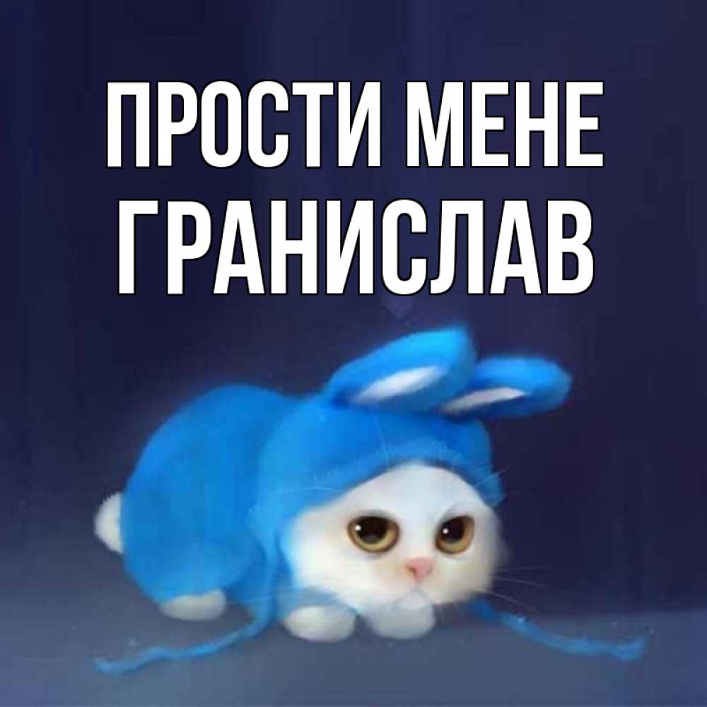 Открытка на каждый день з підписом, Гранислав Прости мене невинный котозай просит прощения Прикольна листівка з побажанням онлайн скачати безкоштовно 