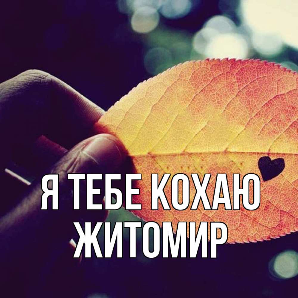 Открытка на каждый день з підписом, Житомир Я тебе кохаю держу лист Прикольна листівка з побажанням онлайн скачати безкоштовно 