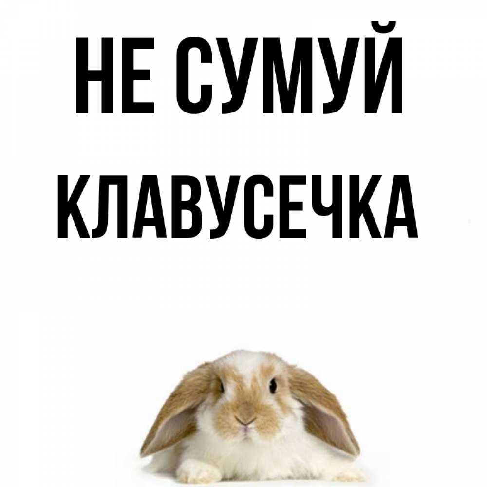 Открытка на каждый день з підписом, Клавусечка Не сумуй коричнево белый заяц с большими ушками Прикольна листівка з побажанням онлайн скачати безкоштовно 