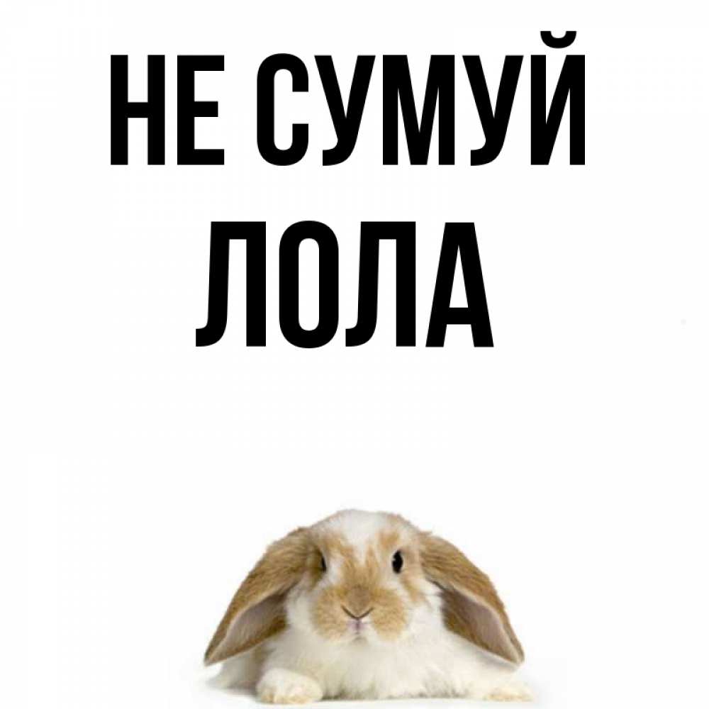 Открытка на каждый день з підписом, Лола Не сумуй коричнево белый заяц с большими ушками Прикольна листівка з побажанням онлайн скачати безкоштовно 