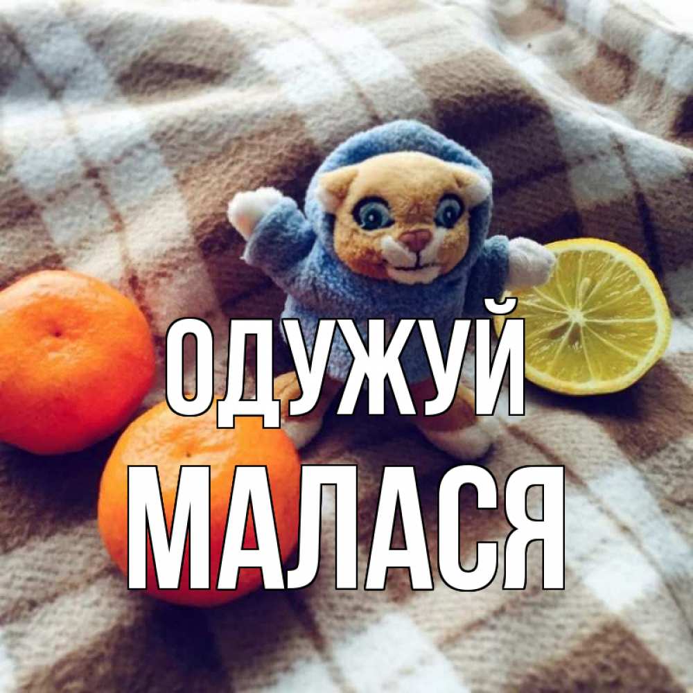 Открытка на каждый день з підписом, Малася Одужуй вот тебе апельсинка и лимон Прикольна листівка з побажанням онлайн скачати безкоштовно 