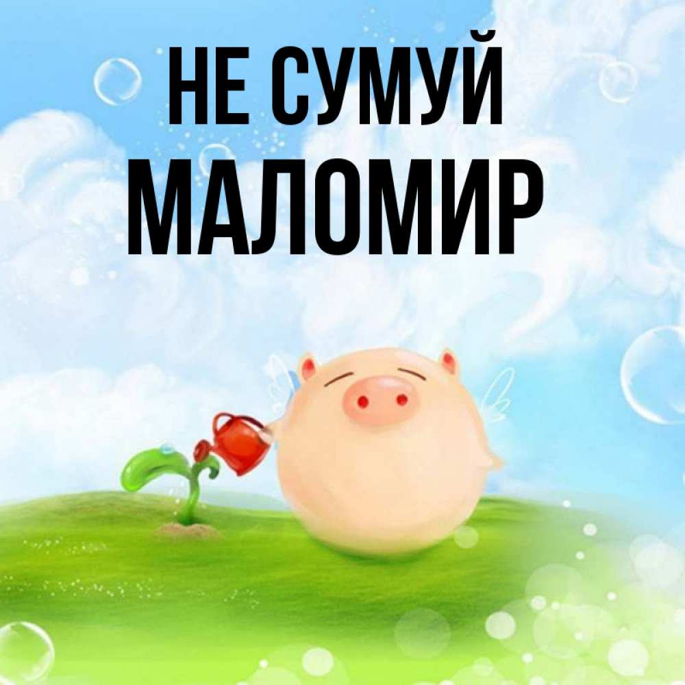 Открытка на каждый день з підписом, Маломир Не сумуй поливает цветок порося Прикольна листівка з побажанням онлайн скачати безкоштовно 