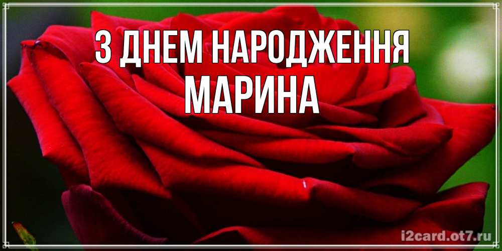 Открытка на каждый день з підписом, Марина З Днем народження розочка очень красивая Прикольна листівка з побажанням онлайн скачати безкоштовно 