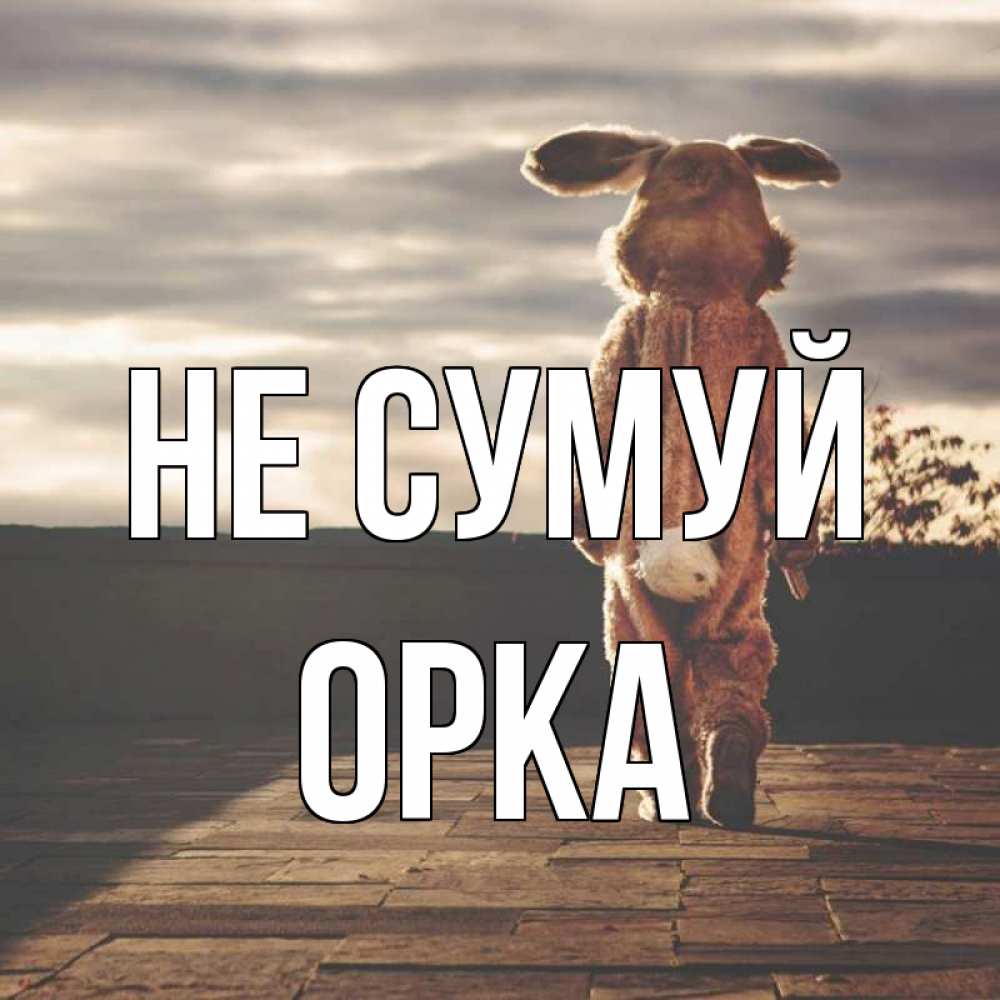 Открытка на каждый день з підписом, Орка Не сумуй со спины Прикольна листівка з побажанням онлайн скачати безкоштовно 