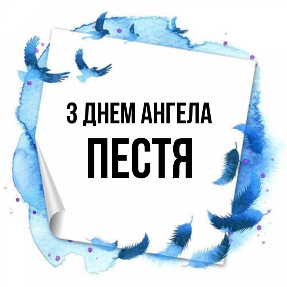 Открытка на каждый день з підписом, Пестя З Днем ангела красивые птицы летят Прикольна листівка з побажанням онлайн скачати безкоштовно 