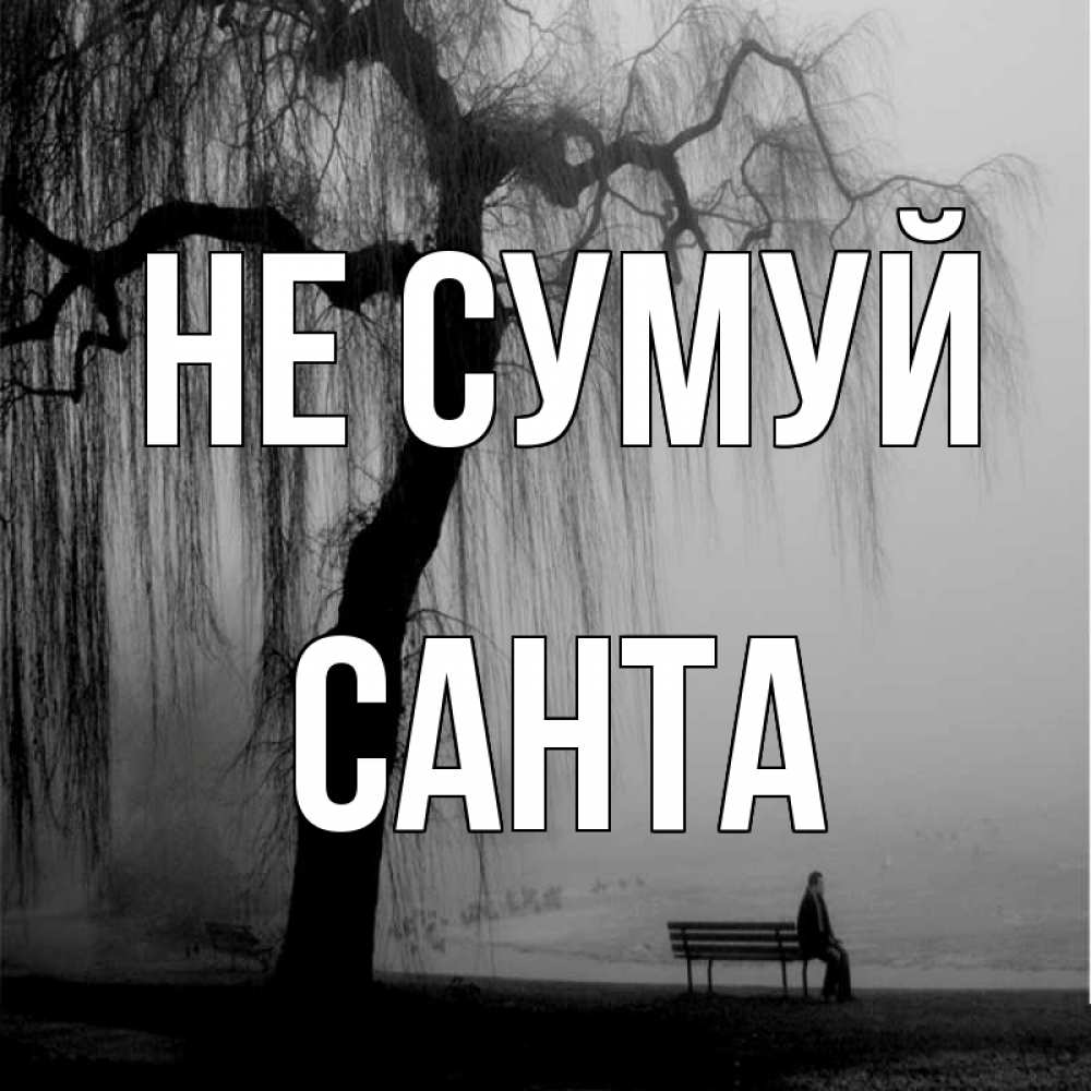 Открытка на каждый день з підписом, Санта Не сумуй висящие ветки дерева и лавочка под деревом Прикольна листівка з побажанням онлайн скачати безкоштовно 