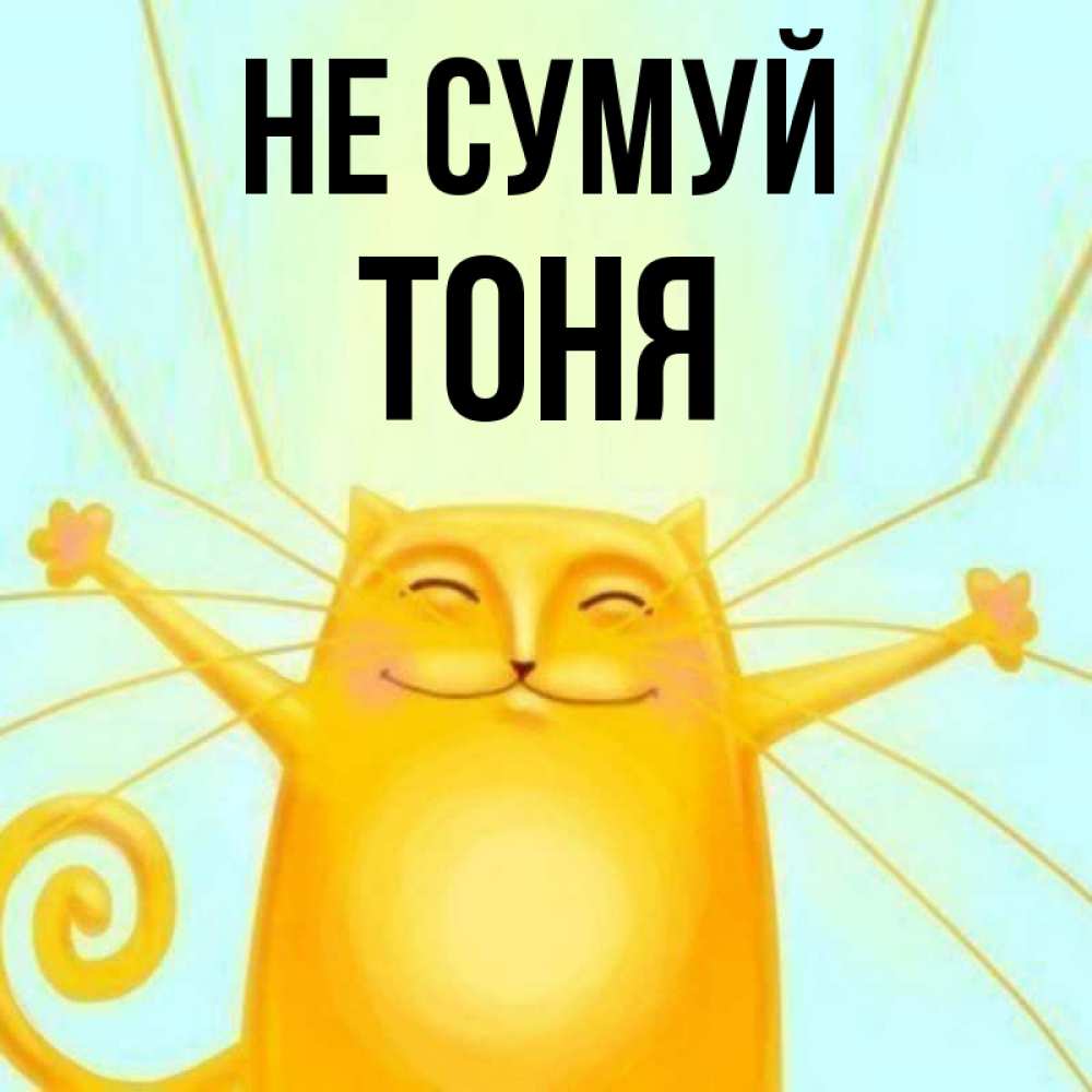 Открытка на каждый день з підписом, Тоня Не сумуй обнимашки усатые Прикольна листівка з побажанням онлайн скачати безкоштовно 