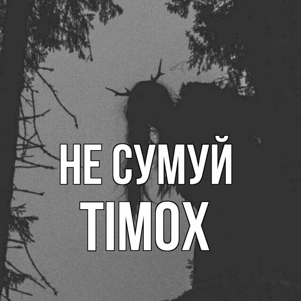 Открытка на каждый день з підписом, Тімох Не сумуй чудище лесное Прикольна листівка з побажанням онлайн скачати безкоштовно 