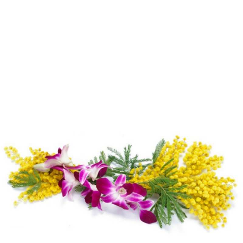 Открытка весенние цветы 1 открытка на международный женский день с цветами  1 С наурызом 