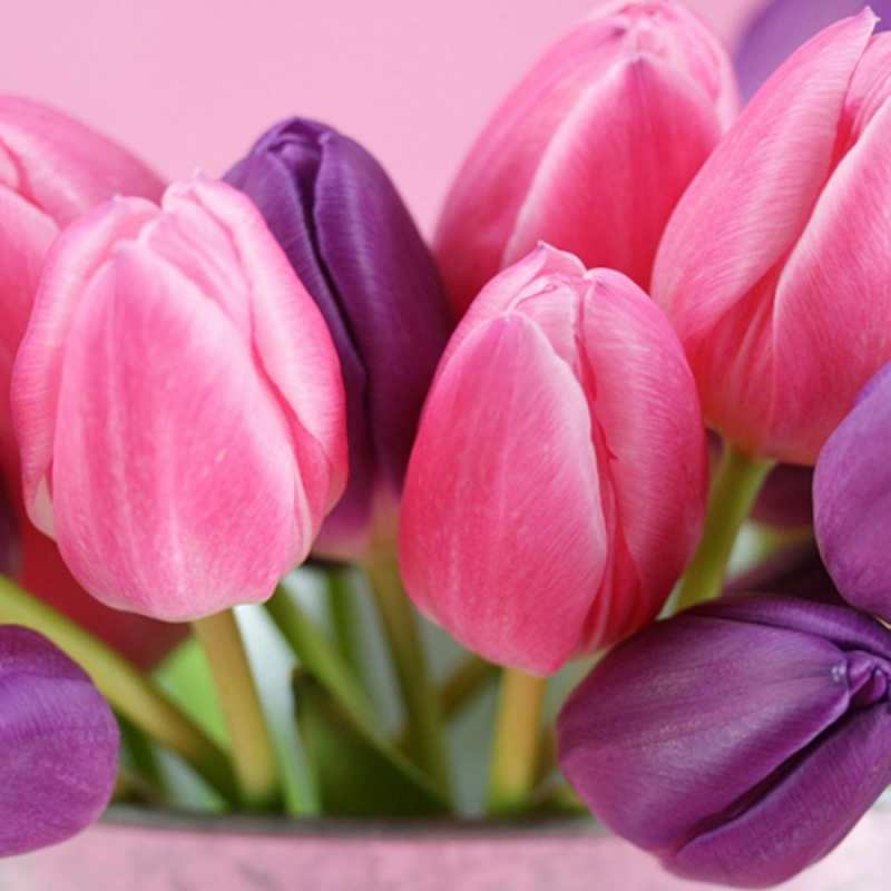 Открытка с тюльпанами 1 маме 1 С наурызом 