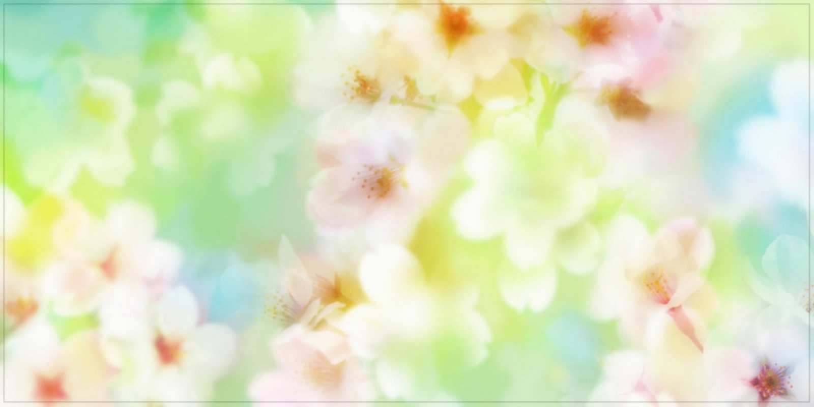 Открытка красивые цветы летнее настроение удачного летнего солнечного дня Вдалого дня 