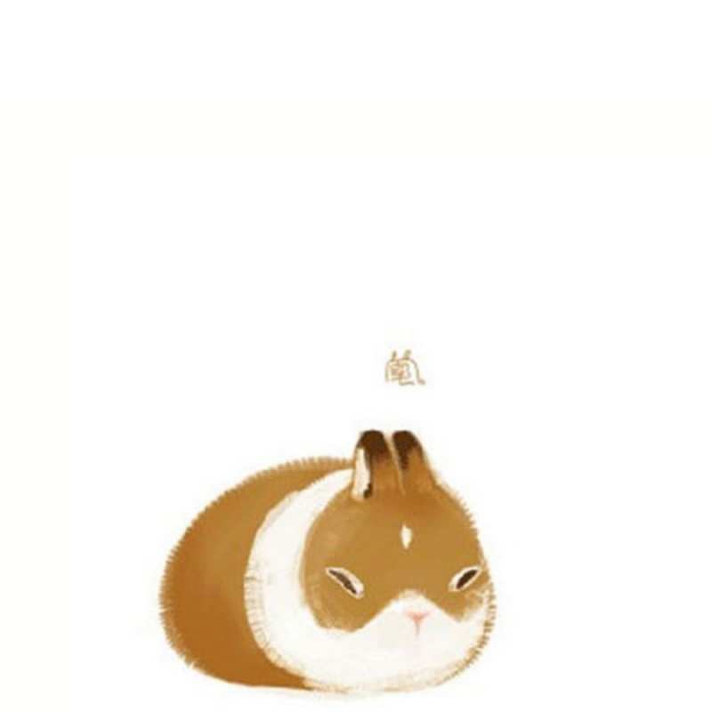 Открытка морская свинка лежит коричнево белый домашний питомец Дякую 