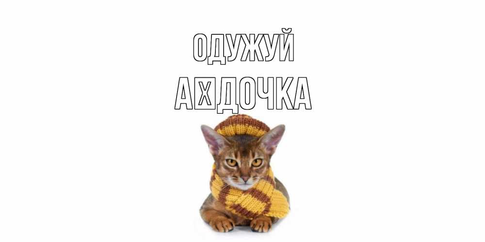 Открытка на каждый день з підписом, Аїдочка Одужуй родные не болейте Прикольна листівка з побажанням онлайн скачати безкоштовно 