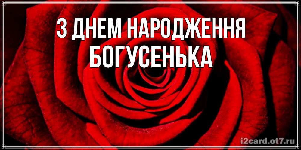 Открытка на каждый день з підписом, Богусенька З Днем народження алая роза Прикольна листівка з побажанням онлайн скачати безкоштовно 