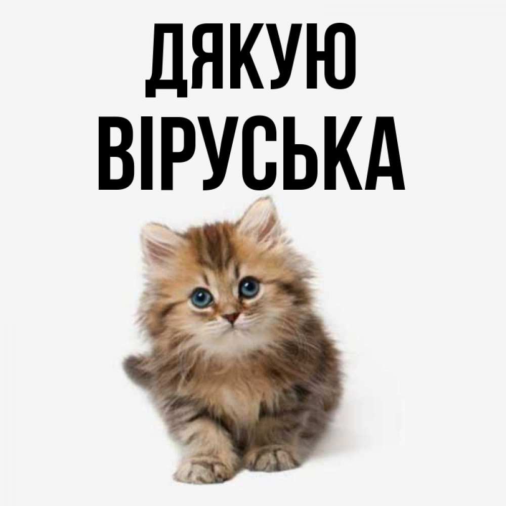 Открытка на каждый день з підписом, Віруська Дякую пушистый котик Прикольна листівка з побажанням онлайн скачати безкоштовно 