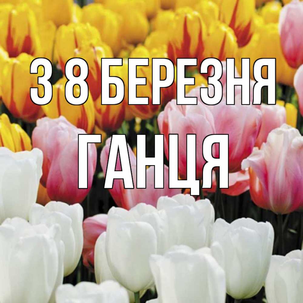 Открытка на каждый день з підписом, Ганця З 8 БЕРЕЗНЯ разноцветные цветы Прикольна листівка з побажанням онлайн скачати безкоштовно 