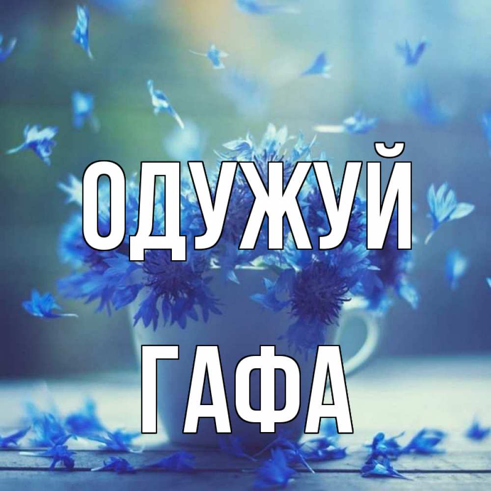Открытка на каждый день з підписом, Гафа Одужуй кружка с зельем и цветами Прикольна листівка з побажанням онлайн скачати безкоштовно 