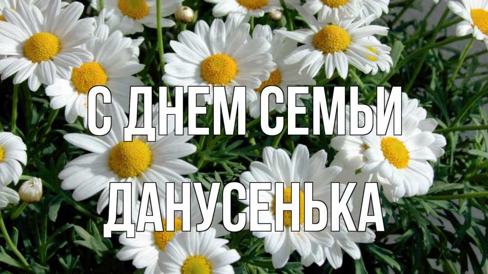 Открытка на каждый день з підписом, Данусенька С днем семьи с днем семьи Прикольна листівка з побажанням онлайн скачати безкоштовно 