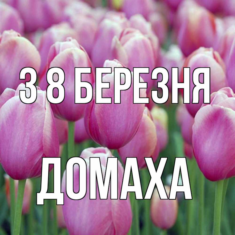 Открытка на каждый день з підписом, Домаха З 8 БЕРЕЗНЯ на международный женский день 3 Прикольна листівка з побажанням онлайн скачати безкоштовно 