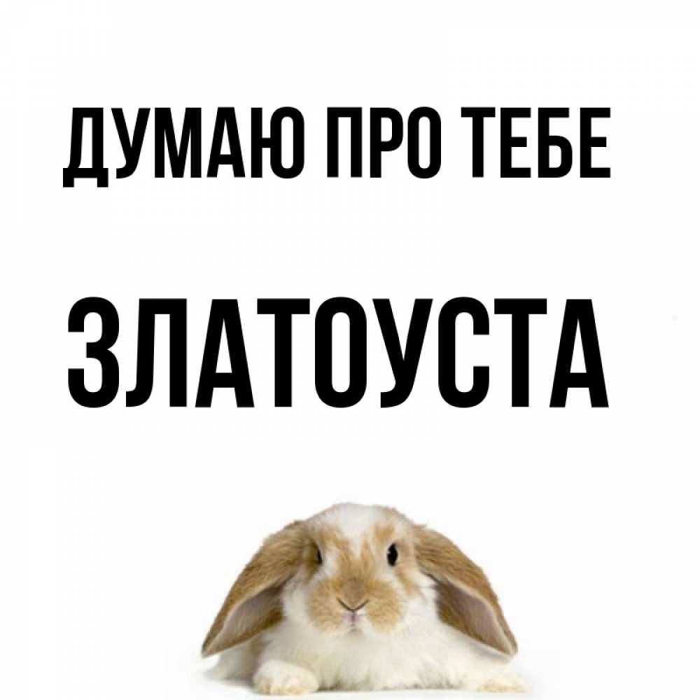 Открытка на каждый день з підписом, Златоуста Думаю про тебе подписать своими руками онлайн Прикольна листівка з побажанням онлайн скачати безкоштовно 
