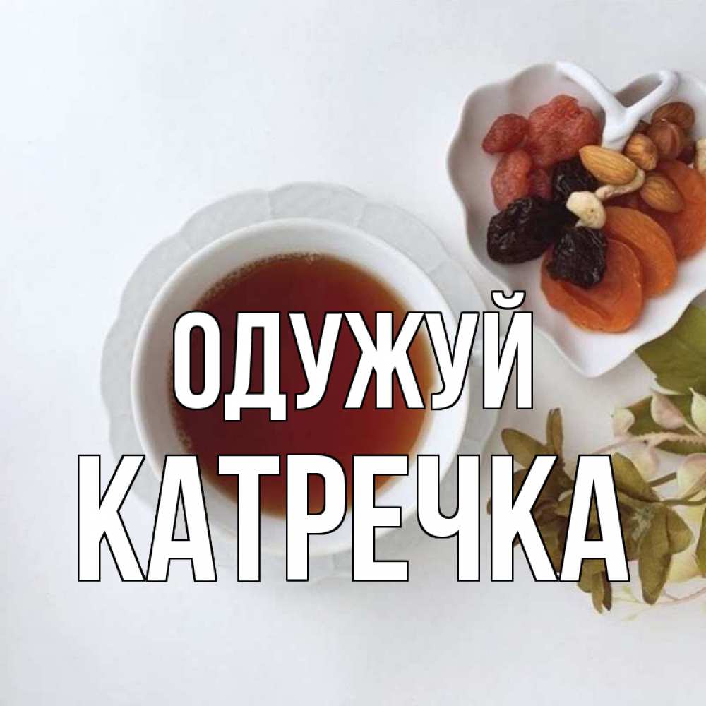 Открытка на каждый день з підписом, Катречка Одужуй неизвестные растения Прикольна листівка з побажанням онлайн скачати безкоштовно 