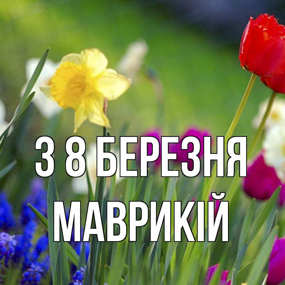 Открытка на каждый день з підписом, Маврикій З 8 БЕРЕЗНЯ международный женский день 3 Прикольна листівка з побажанням онлайн скачати безкоштовно 
