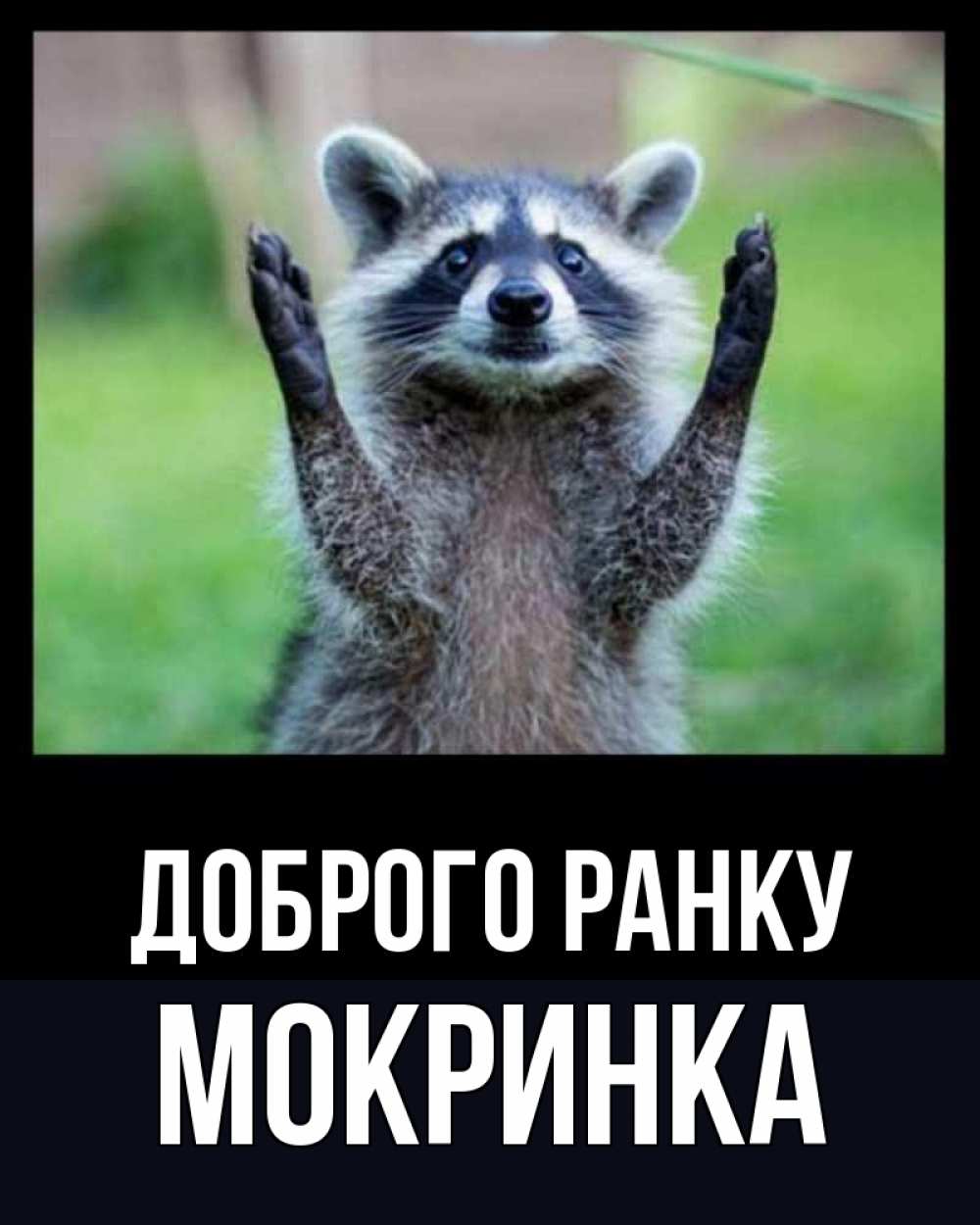 Открытка на каждый день з підписом, Мокринка Доброго ранку хорошее настроение утречком Прикольна листівка з побажанням онлайн скачати безкоштовно 