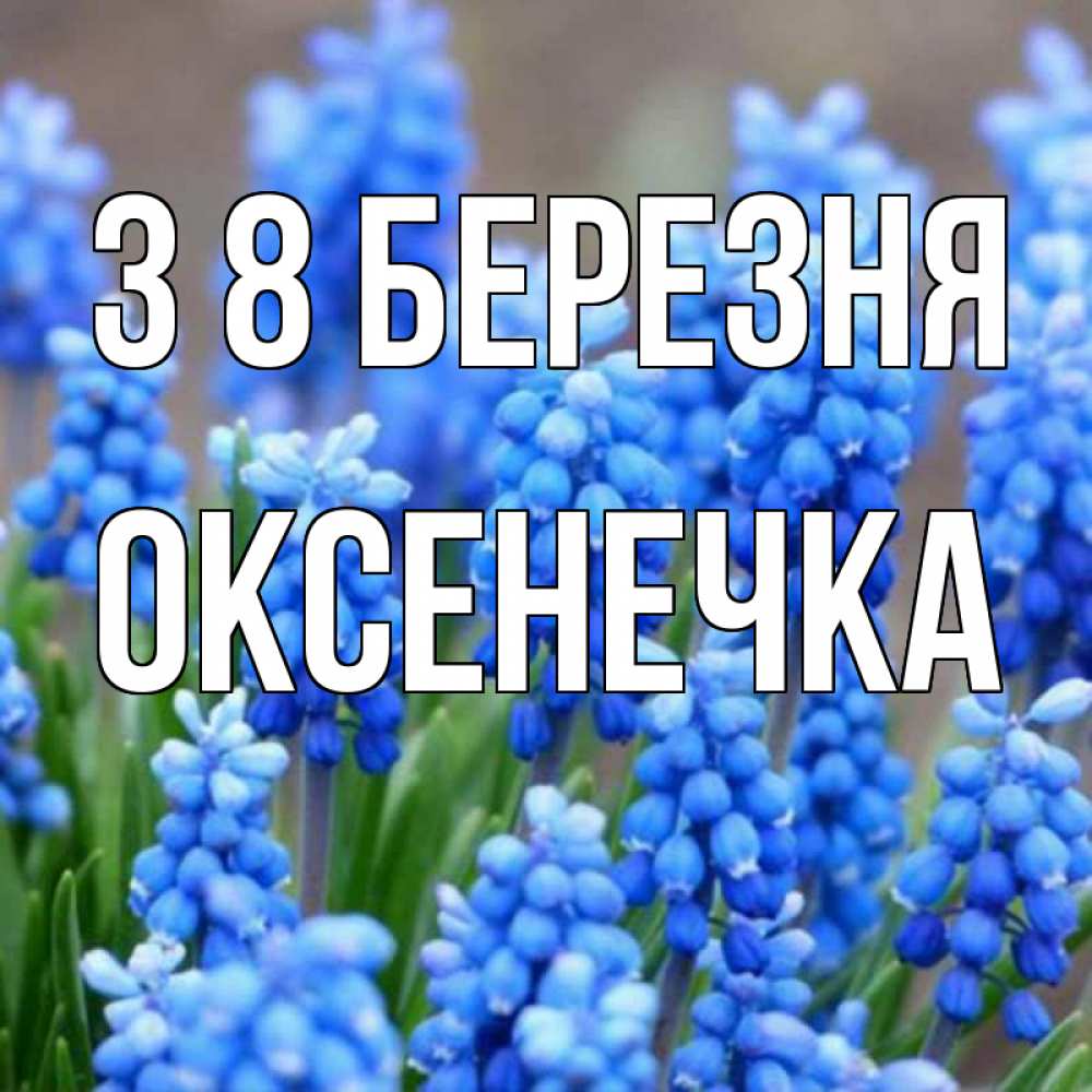 Открытка на каждый день з підписом, Оксенечка З 8 БЕРЕЗНЯ Поздравительная открытка для женщин с цветами на праздничную дату Прикольна листівка з побажанням онлайн скачати безкоштовно 