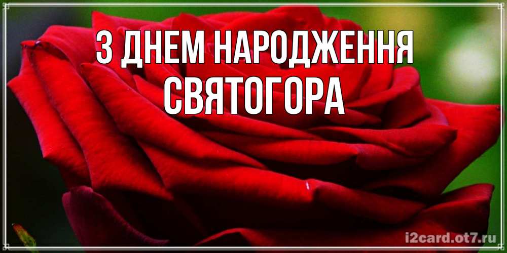 Открытка на каждый день з підписом, Святогора З Днем народження розочка очень красивая Прикольна листівка з побажанням онлайн скачати безкоштовно 