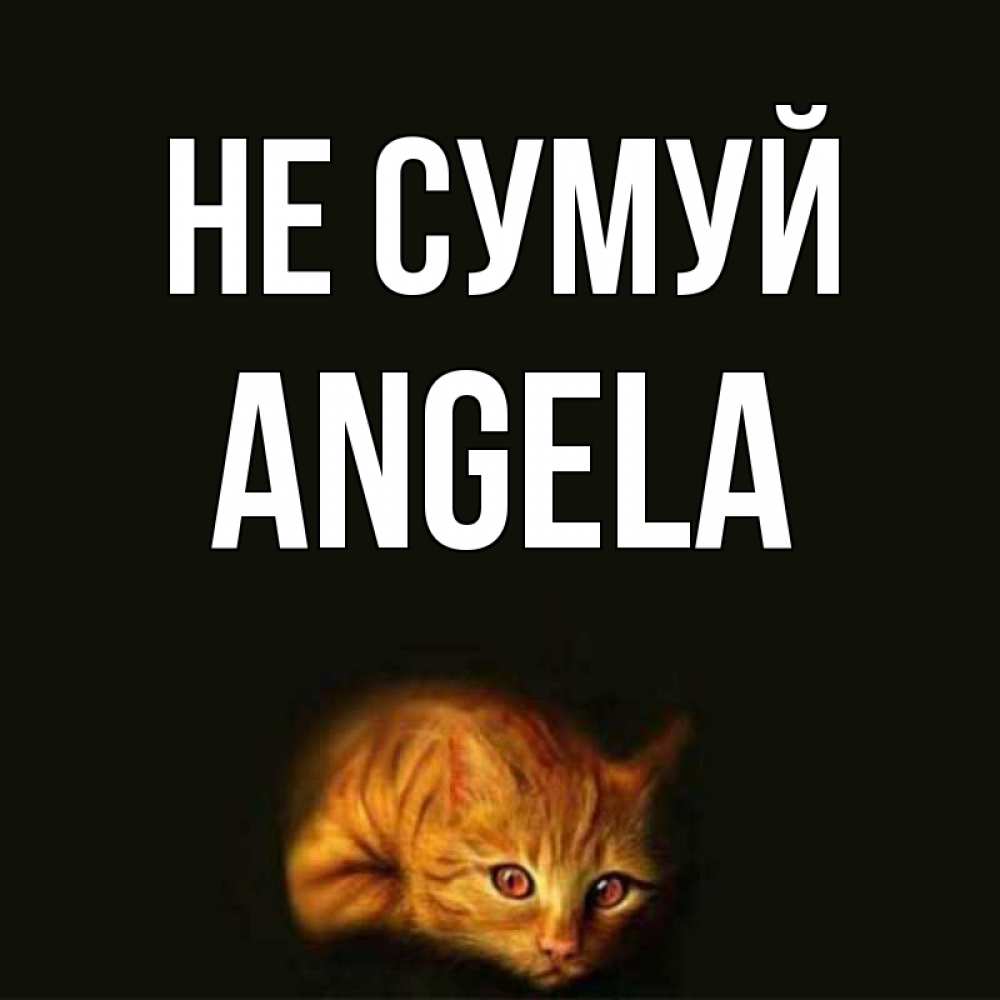 Открытка на каждый день з підписом, Angela Не сумуй лежащий кот в темноте Прикольна листівка з побажанням онлайн скачати безкоштовно 