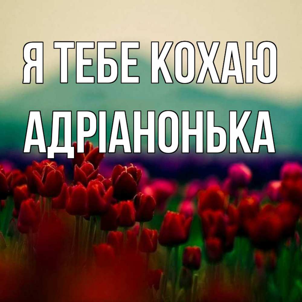 Открытка на каждый день з підписом, Адріанонька Я тебе кохаю тюльпаны 4 Прикольна листівка з побажанням онлайн скачати безкоштовно 