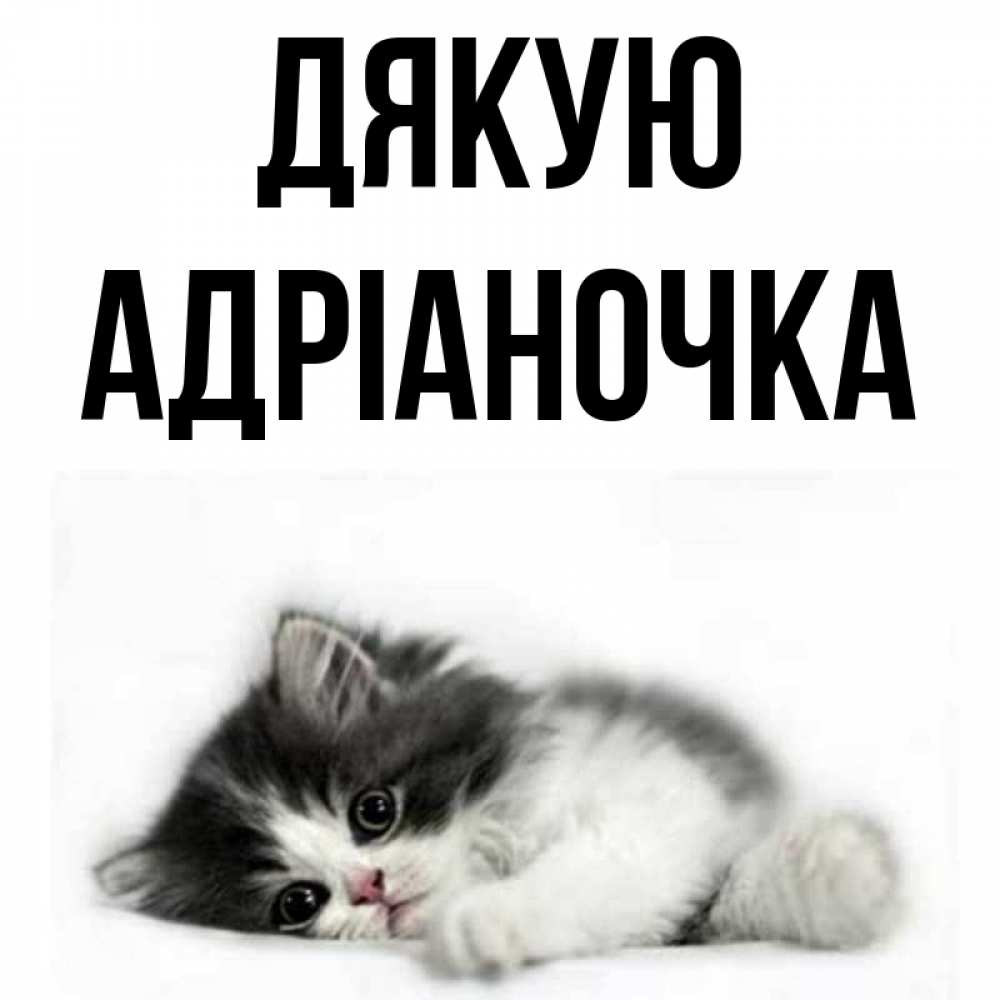 Открытка на каждый день з підписом, Адріаночка Дякую черный и белый кот Прикольна листівка з побажанням онлайн скачати безкоштовно 