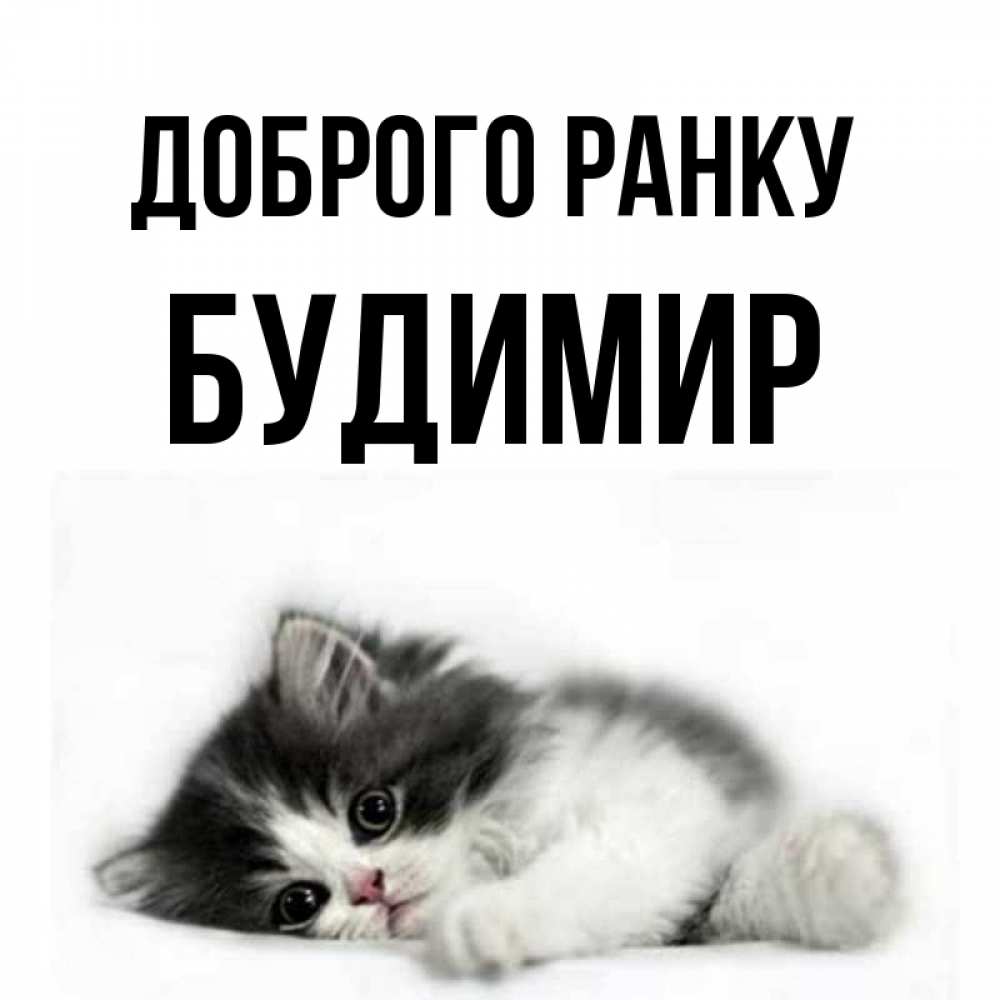 Открытка на каждый день з підписом, Будимир Доброго ранку кот лапки Прикольна листівка з побажанням онлайн скачати безкоштовно 