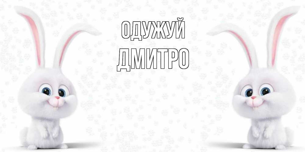 Открытка на каждый день з підписом, Дмитро Одужуй не болей с зайцем Прикольна листівка з побажанням онлайн скачати безкоштовно 
