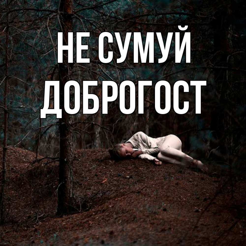 Открытка на каждый день з підписом, Доброгост Не сумуй лес Прикольна листівка з побажанням онлайн скачати безкоштовно 