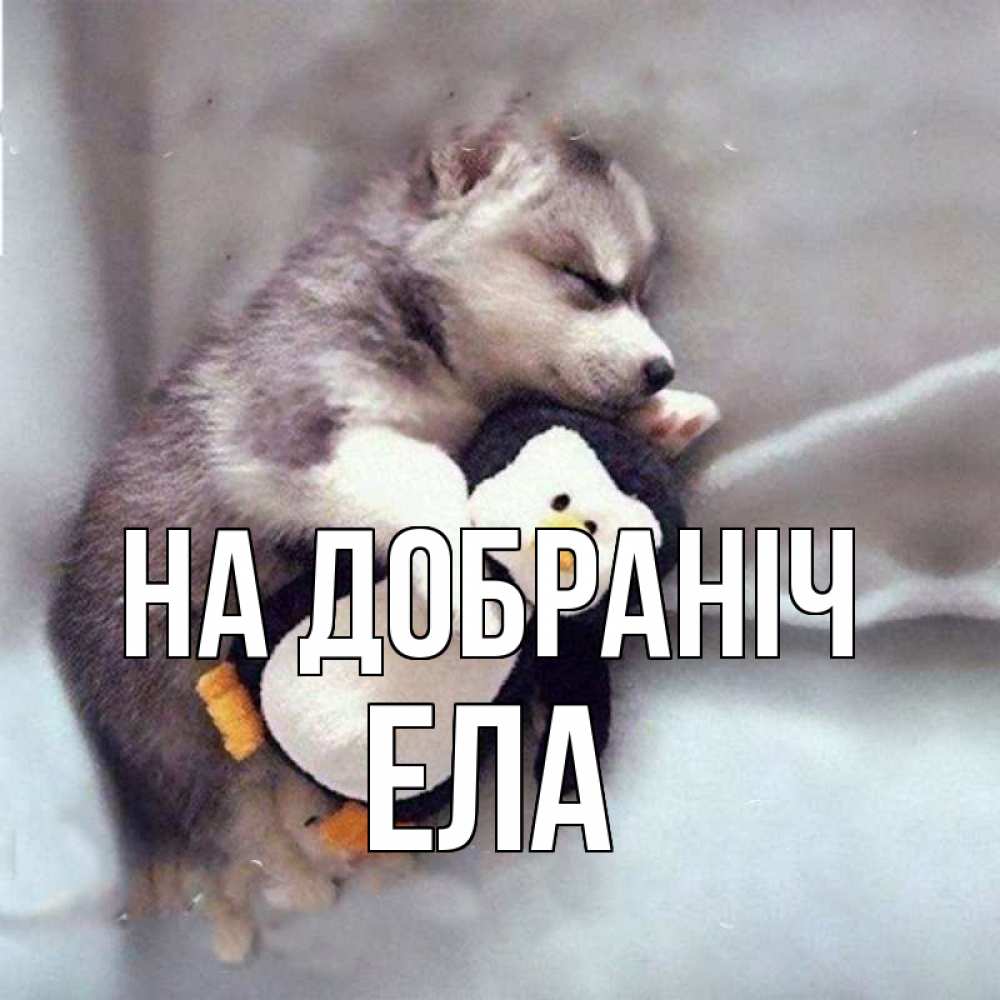 Открытка на каждый день з підписом, Ела На добраніч обнимашки щенка и пингвина Прикольна листівка з побажанням онлайн скачати безкоштовно 