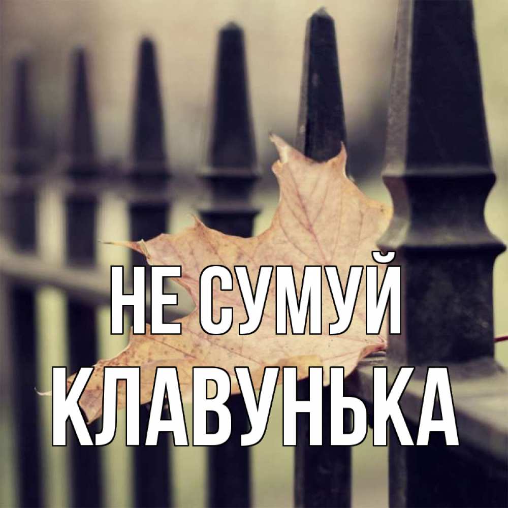 Открытка на каждый день з підписом, Клавунька Не сумуй лист клена Прикольна листівка з побажанням онлайн скачати безкоштовно 