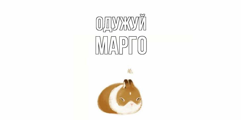 Открытка на каждый день з підписом, Марго Одужуй морская свинка на открытке с пожеланиями не болеть Прикольна листівка з побажанням онлайн скачати безкоштовно 