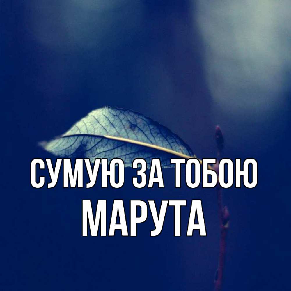 Открытка на каждый день з підписом, Марута Сумую за тобою одна ветка 1 Прикольна листівка з побажанням онлайн скачати безкоштовно 