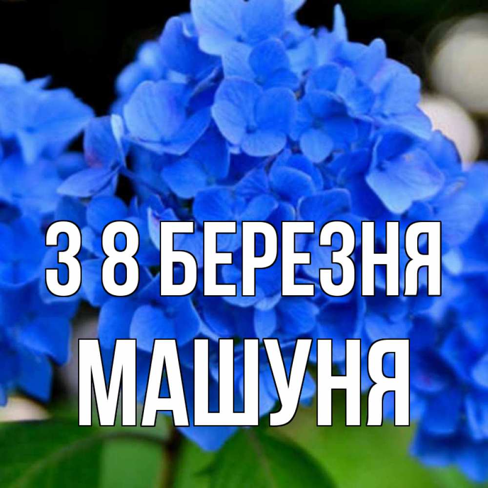 Открытка на каждый день з підписом, Машуня З 8 БЕРЕЗНЯ синие цветы Прикольна листівка з побажанням онлайн скачати безкоштовно 