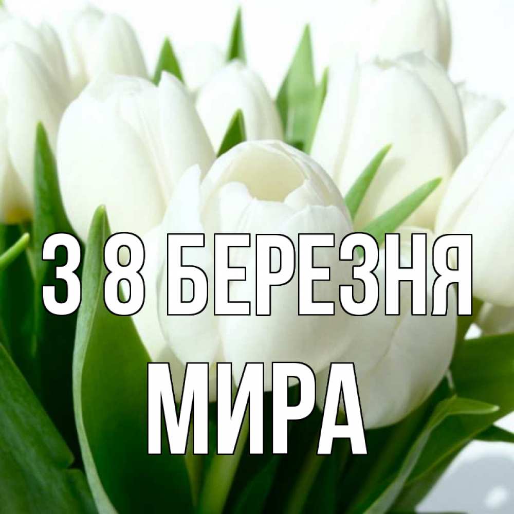 Открытка на каждый день з підписом, Мира З 8 БЕРЕЗНЯ цветы Прикольна листівка з побажанням онлайн скачати безкоштовно 
