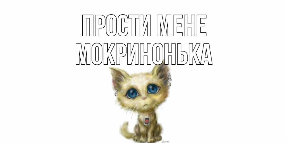 Открытка на каждый день з підписом, Мокринонька Прости мене прости меня открытка с котиком Прикольна листівка з побажанням онлайн скачати безкоштовно 